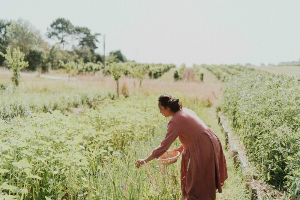 Born-to-be-wild-bergerac-Ulrike-photographe