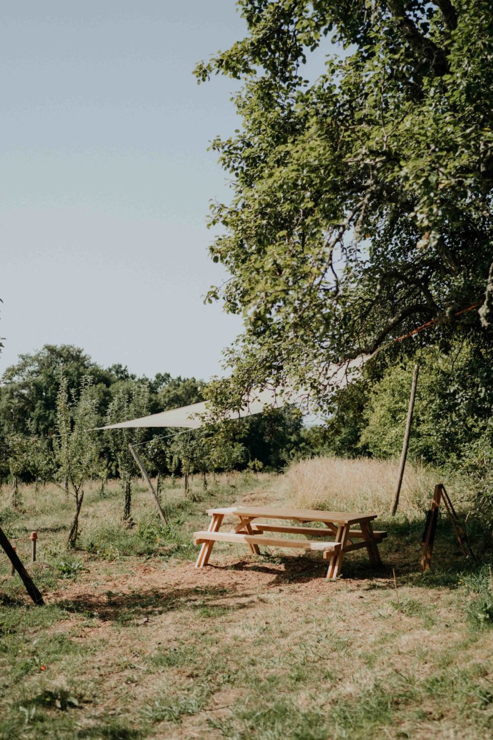 Born-to-be-wild-bergerac-Ulrike-photographe