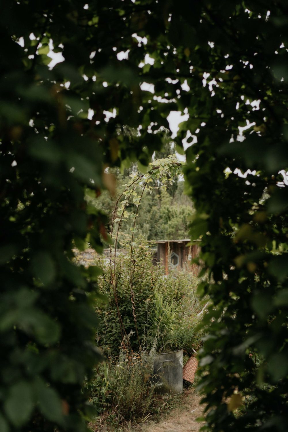 niveole-fleuriste-loches-ulrike-photographe-mariage-tours