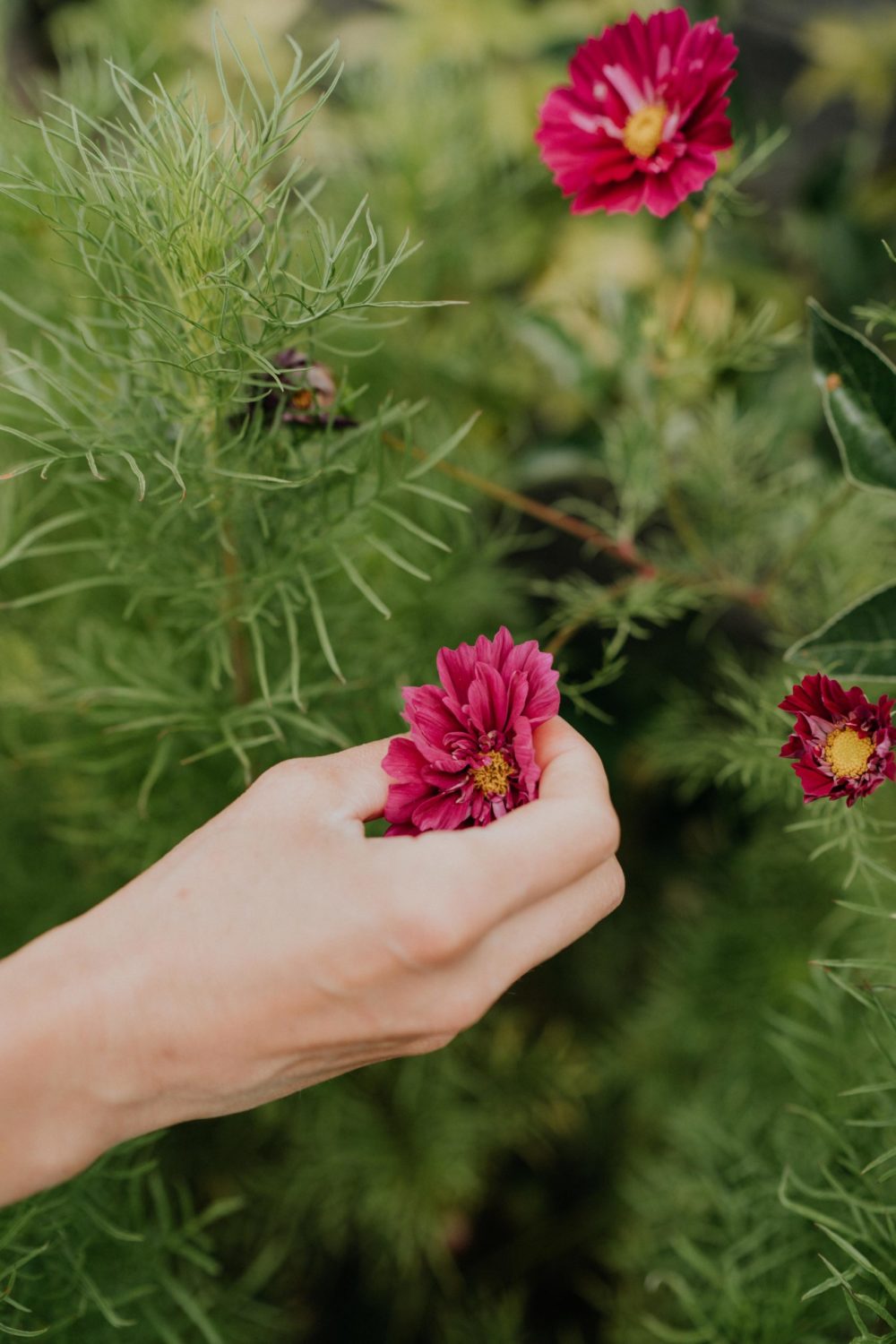 niveole-fleuriste-loches-ulrike-photographe-mariage-tours