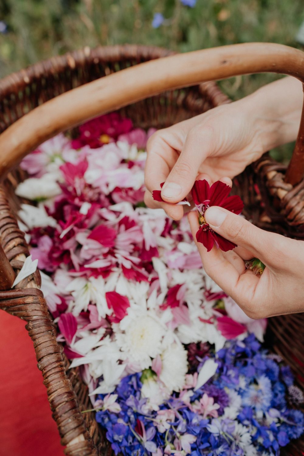 niveole-fleuriste-loches-ulrike-photographe-mariage-tours
